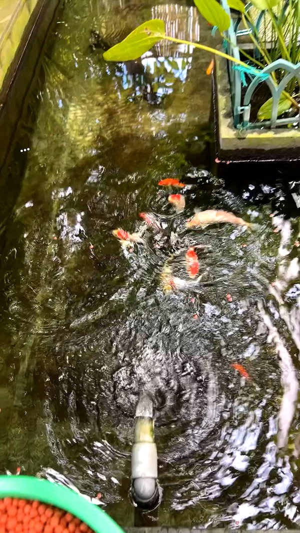 daisy_r_19 archive video preview