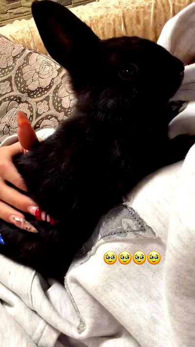 efrat_elmalich efrat_elmalich archive video