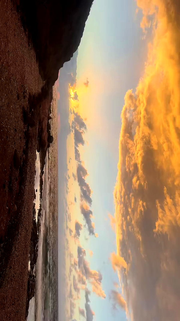 lishai_halevi archive video preview