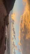lishai_halevi Altpins Profile Picture