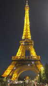 elsgatti Altpins Profile Picture