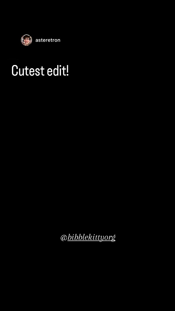 bibblekittyorg archive video preview