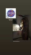 rouxroux.tv Altpins Profile Picture