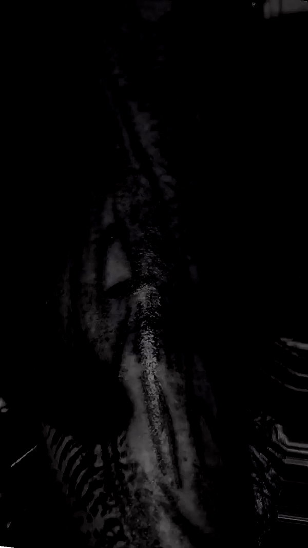 venecatattoo archive video preview