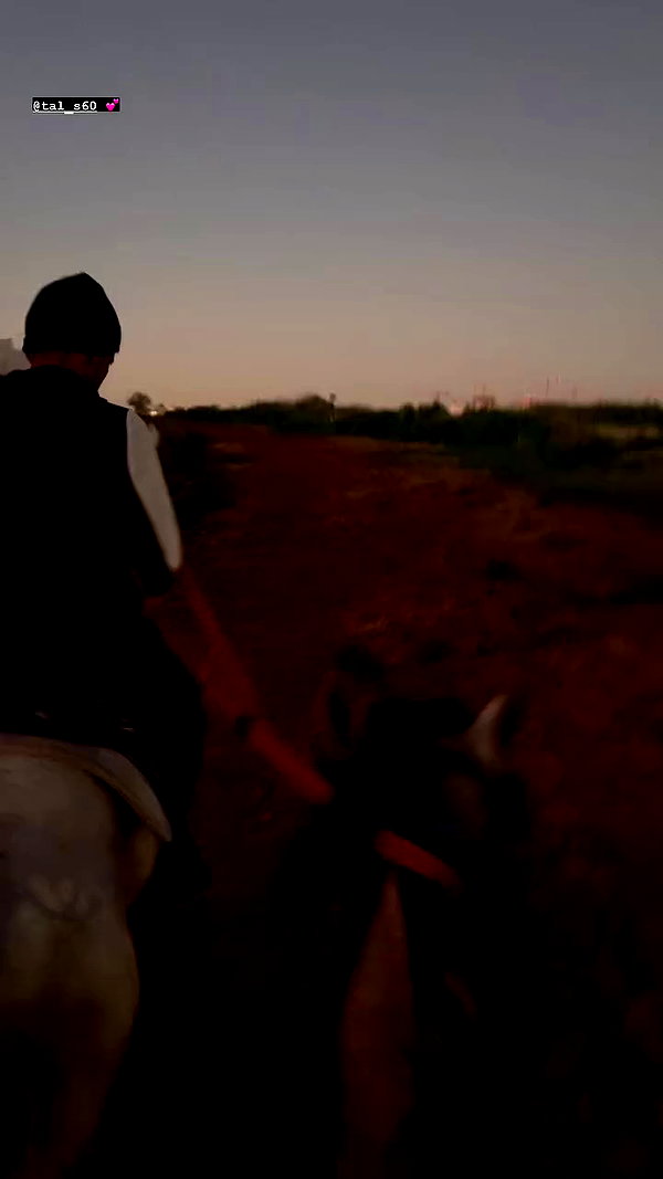 _stella_shani_ archive video preview