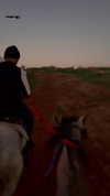 _stella_shani_ Altpins Profile Picture