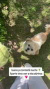 shunli__mei Altpins Profile Picture