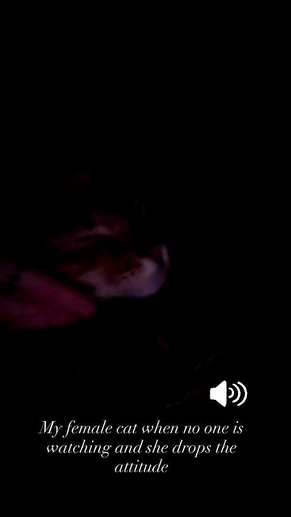 laurinchhhe archive video preview