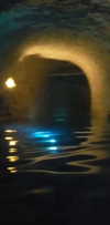 ruth_chavarri Altpins Profile Picture