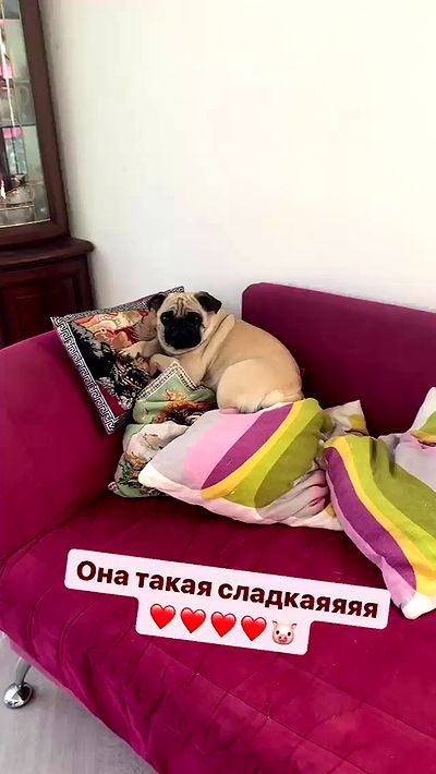 nyityam nyityam archive video