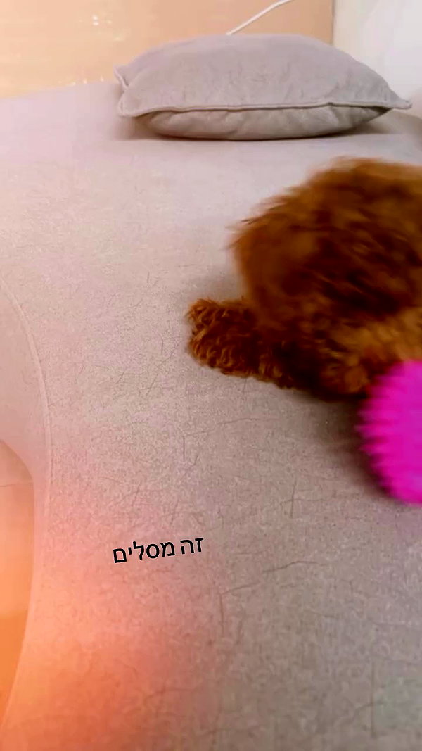 agam._.harel archive video preview
