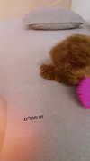 agam._.harel Altpins Profile Picture