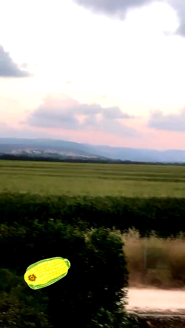 evasela__ archive video preview