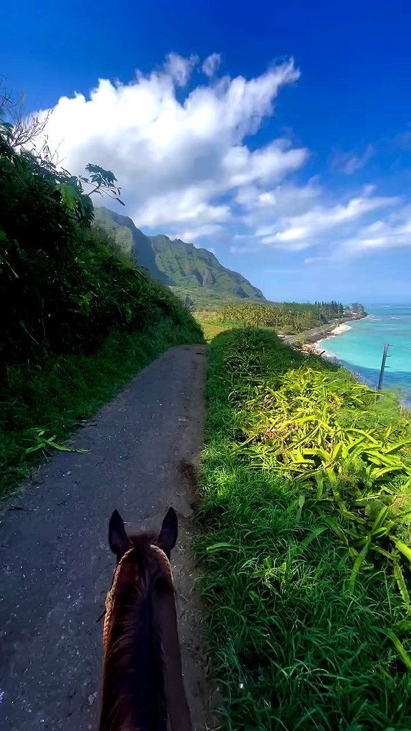 ellamwatts_ archive video preview