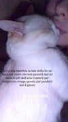 rott3nbambi Altpins Profile Picture