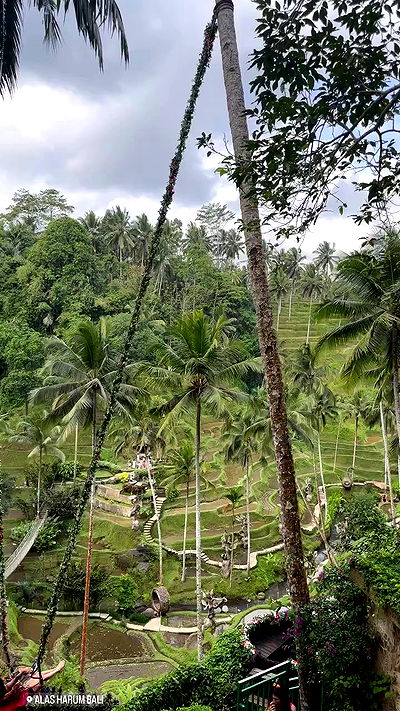 taylor.creeden taylor.creeden archive video