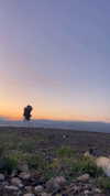 libby_reut Altpins Profile Picture