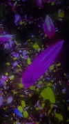 dante_yangpa Altpins Profile Picture