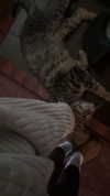 olivia.bolgerr Altpins Profile Picture
