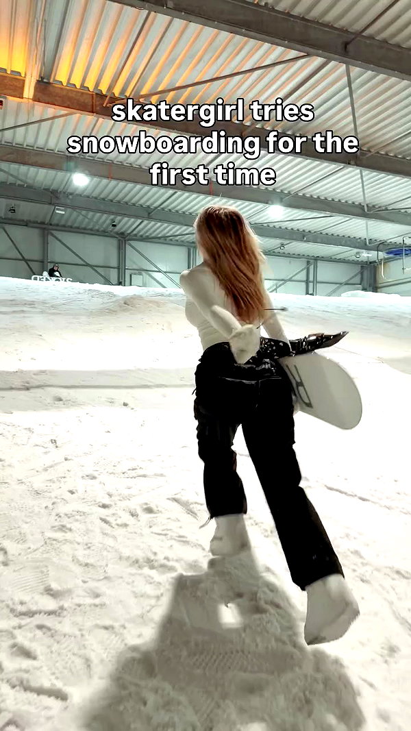 surfsterre archive video preview