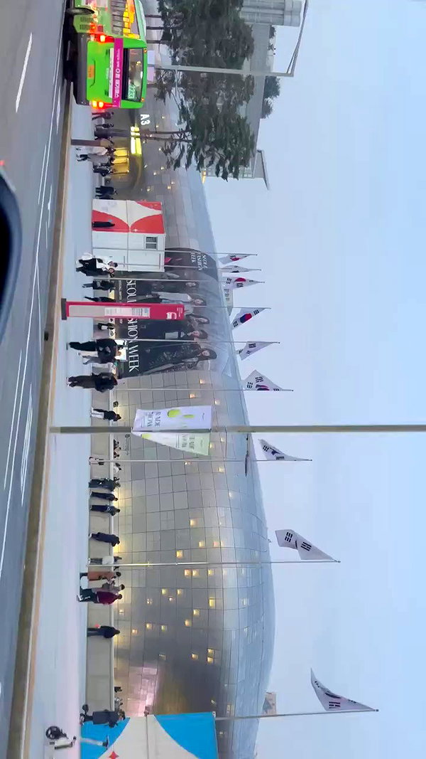 elsgatti archive video preview