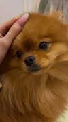 kristti.a Altpins Profile Picture