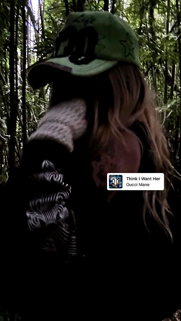 zommmbri archive video preview