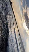 sonia_litvanchuk Altpins Profile Picture