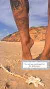 theonlygirlintheworld.xoxo Altpins Profile Picture