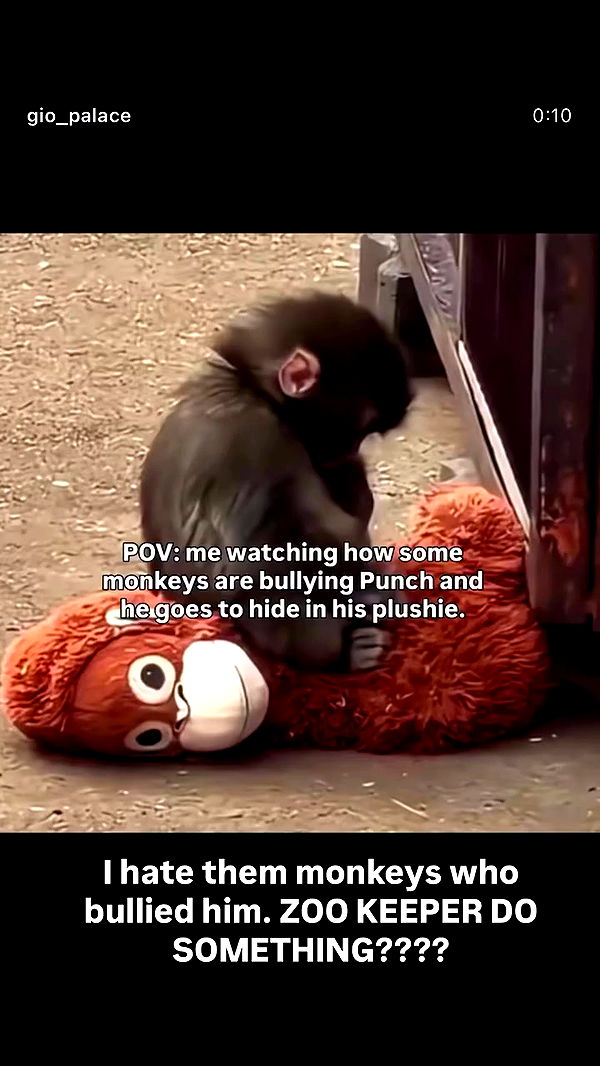 kteaworld archive video preview