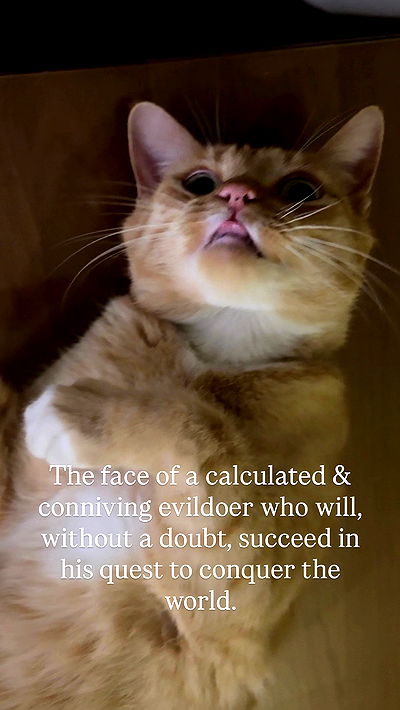 rachelchaleff rachelchaleff archive video