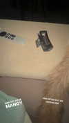 evasela__ Altpins Profile Picture