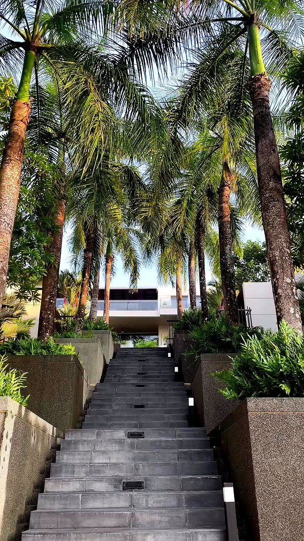 tamagotkri archive video preview