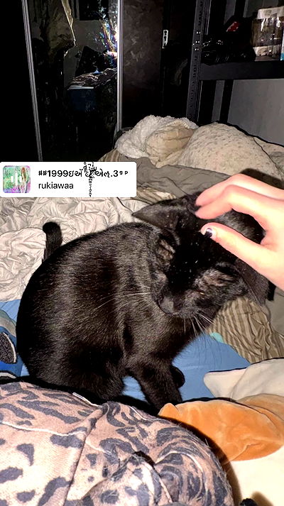 avitallllllllllllllll avitallllllllllllllll archive video