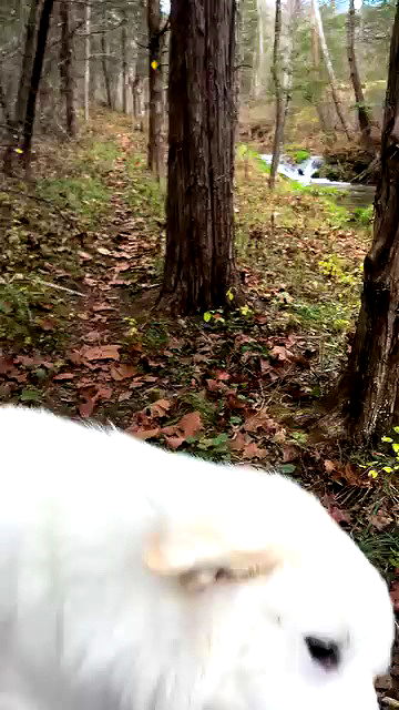 missnyxdawn missnyxdawn archive video