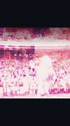 avrillavigne Altpins Profile Picture