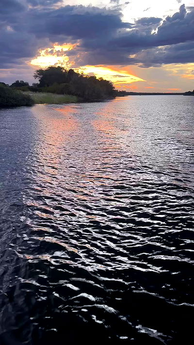 taylor.creeden taylor.creeden archive video