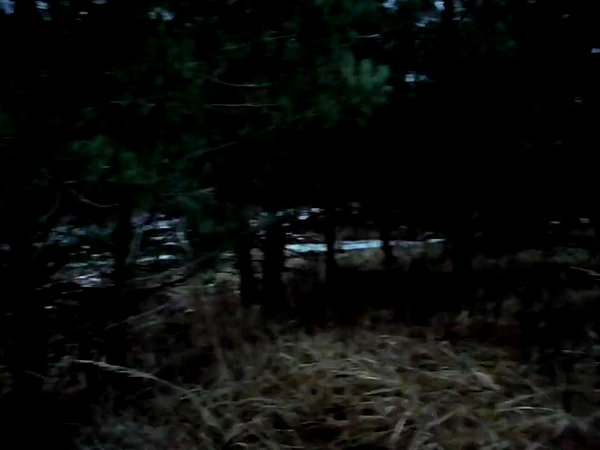 ftshsmftshsmftshsm archive video preview