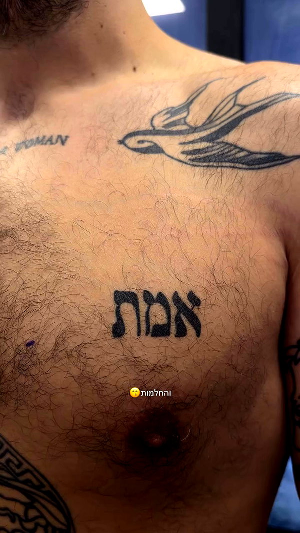 tal.naveh archive video preview