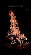 veroni22ka Altpins Profile Picture