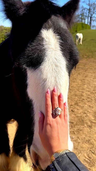 taylor.creeden taylor.creeden archive video