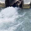 shayli_or Altpins Profile Picture