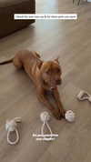 olivia.mathers Altpins Profile Picture