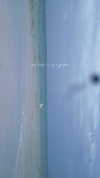 gissell_eli Altpins Profile Picture