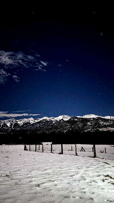 thelizzyporter thelizzyporter archive video