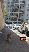 eitan.420 Altpins Profile Picture