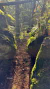 rouxroux.tv Altpins Profile Picture