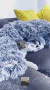 sonia_litvanchuk Altpins Profile Picture
