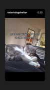 yuval5570 Altpins Profile Picture
