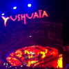 xtina Altpins Profile Picture